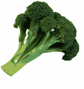 broccoli-md